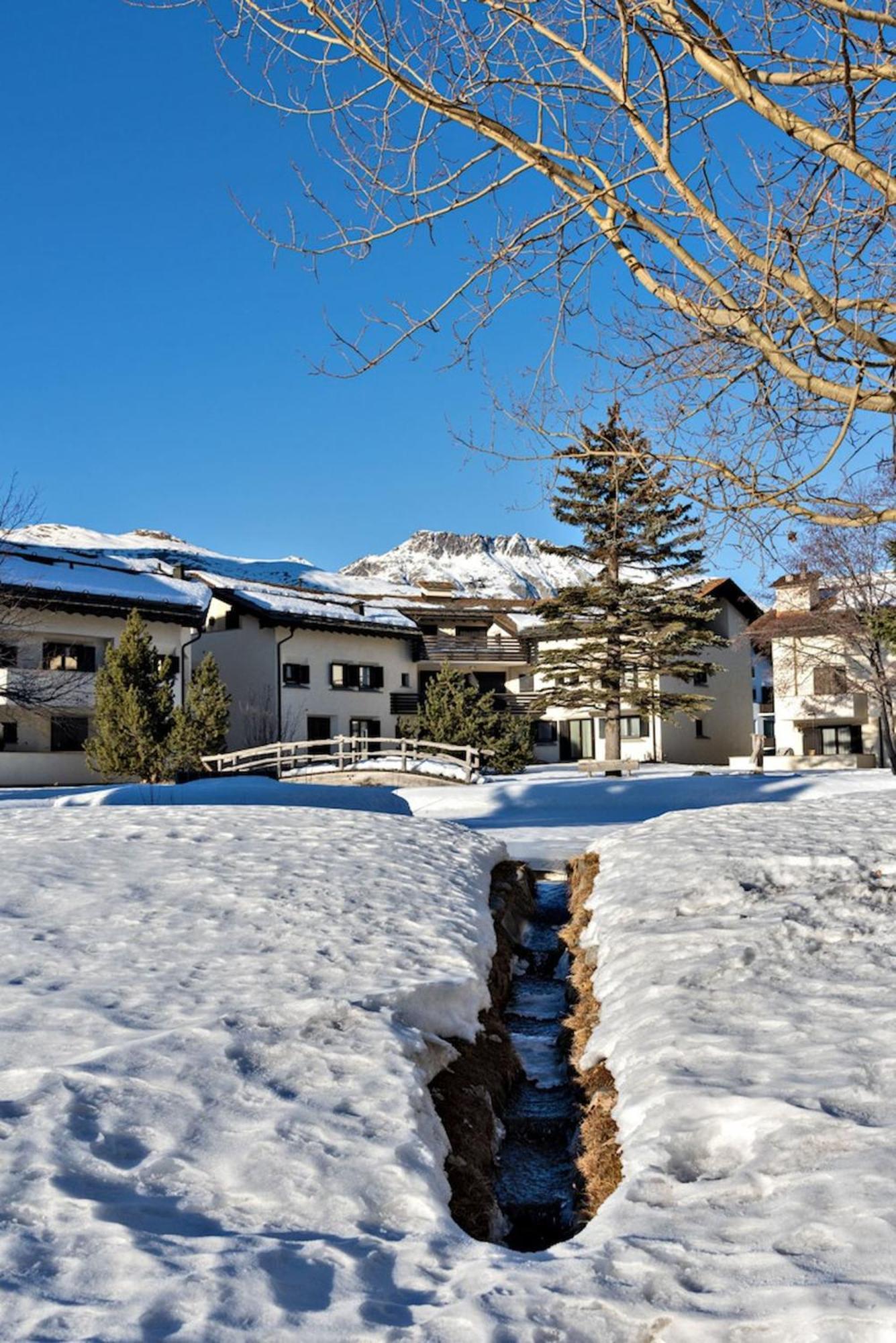 Ferienwohnung Chesa Chavriol - Celerina Celerina/Schlarigna Exterior foto